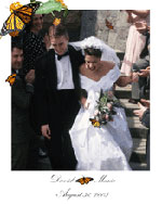 Butterfly Release Wedding Portrait D