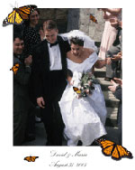 Butterfly Release Wedding Portrait I