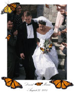 Butterfly Release Wedding Portrait K