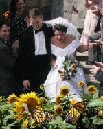 Butterfly Release Wedding Portrait O