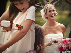butterfly release monarch butterfly