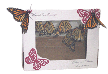 Viewer box with butterflies