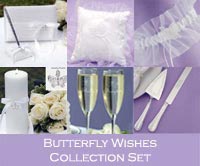 butterfly theme wedding favor accessories