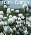 cotton plant