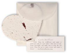 butterfly theme wedding favor accessories