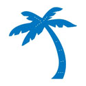 palm tree